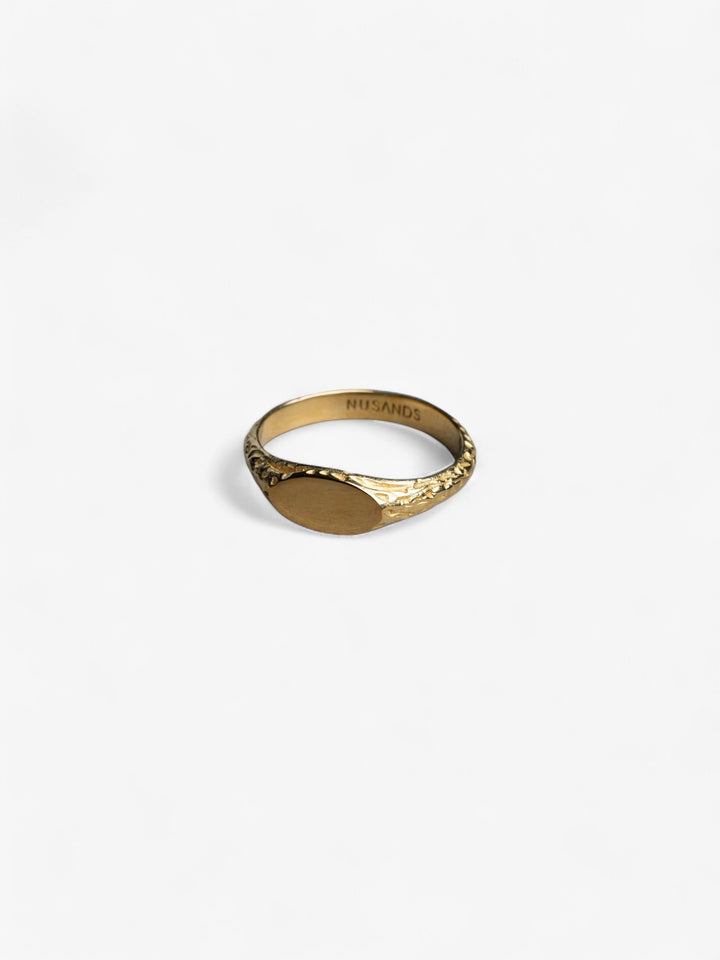 Mirrored Signet Ring | 18K Gold Vermeil